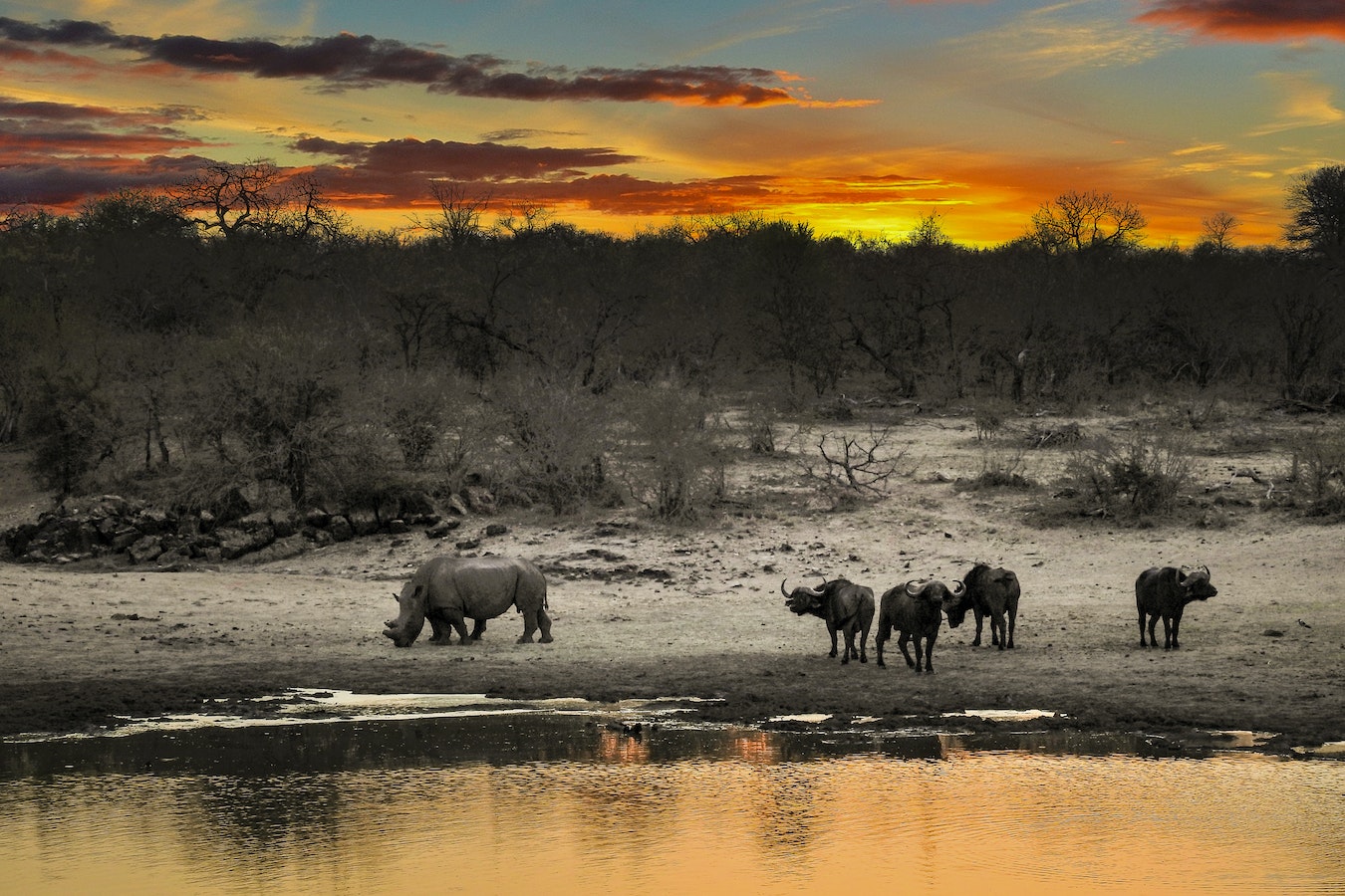 Maasai mara evening